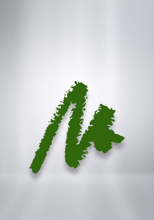 مدادچشم استار لاینر آرکانسیل Arcancil Star Liner (کد رنگ 510)