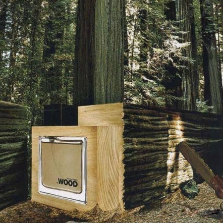 ادو تویلت مردانه دی اسکورد-وود مدل هی وود حجم 100 میلی لیتر