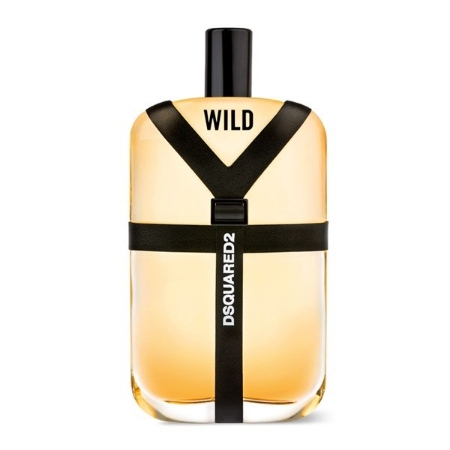 ادو تویلت مردانه دیسکوارد وایلد Dsquared Wild Eau De Toilette For Men 100ml