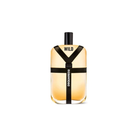 ادو تویلت مردانه دیسکوارد مدل Wild حجم 100 میلی لیتر