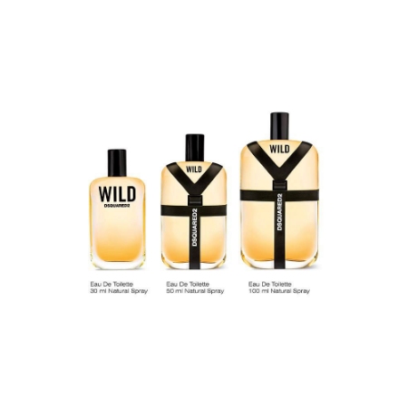 ادو تویلت مردانه دیسکوارد مدل Wild حجم 100 میلی لیتر