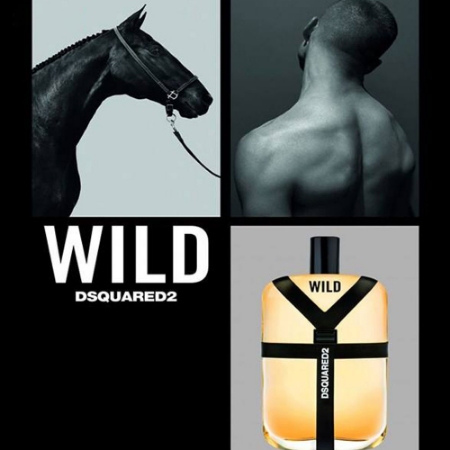 ادو تویلت مردانه دیسکوارد مدل Wild حجم 100 میلی لیتر