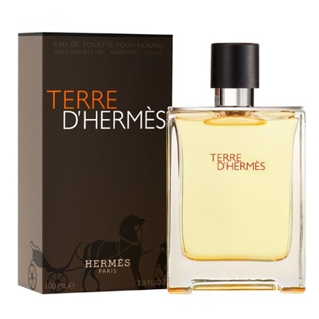 ادو تویلت مردانه هرمس Hermes Terre DHermes Eau De Toilette For Men 100ml