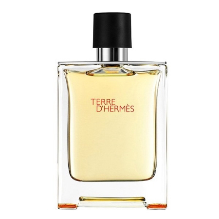 ادو تویلت مردانه هرمس Hermes Terre DHermes Eau De Toilette For Men 100ml