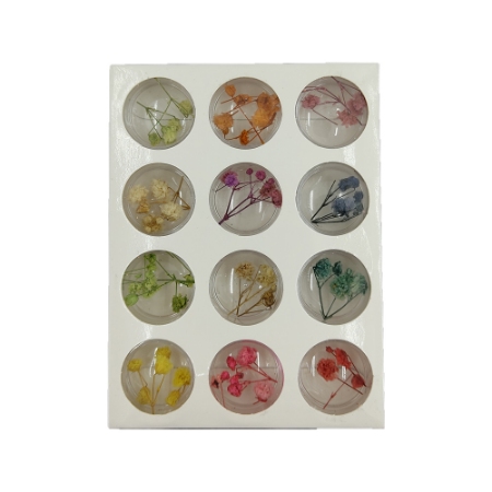 پالت گل خشک 12 عددی شماره 2