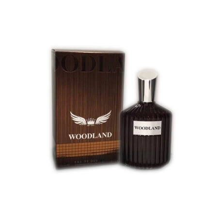 ادو پرفیوم مردانه RKV Woodland حجم 100 میلی لیتر