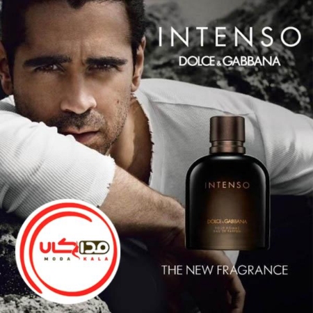 تصویر  عطر ادکلن دی اند جی دلچه گابانا پور هوم اینتنسو | Dolce Gabbana Pour Homme Intenso