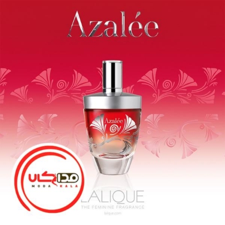 تصویر  عطر ادکلن لالیک آزالی | Lalique Azalee