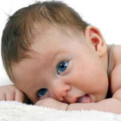 تصویر برای دسته  خشک، ملتهب و ترک دار