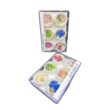 پالت گل خشک 6 عددی شماره 2