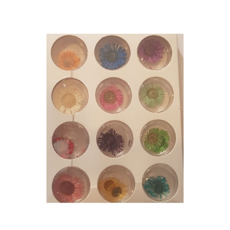 دیزاین ناخن مجیک گرل 12 عددی M12