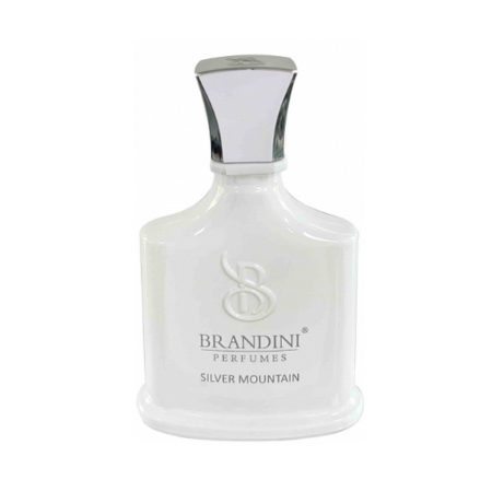 عطر جیبی زنانه و مردانه برندینی مدل Silver Mountain حجم 33 میلی لیتر