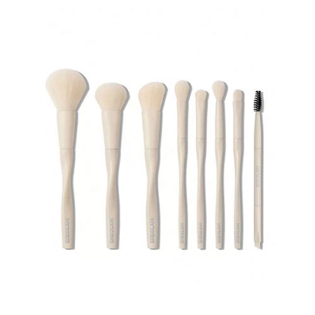 ست براش ۸ تیکه شیگلم