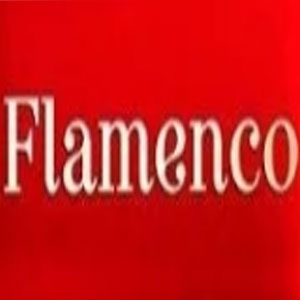 فلامنکو | flamenco