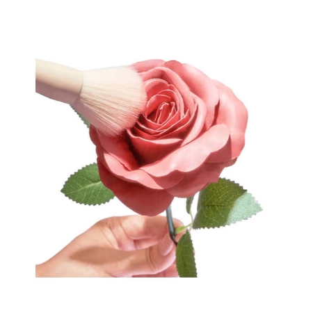 رژگونه شیگلم گل رز